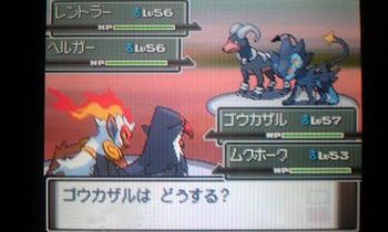 冒険再開5.jpg
