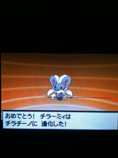 image-20100929154657.png